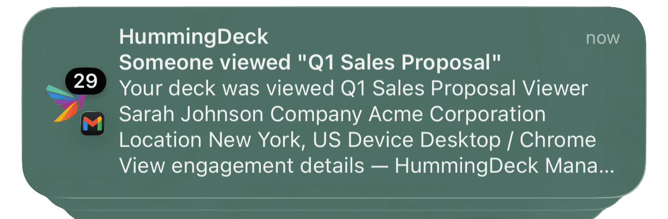 Email notification showing document view with engagement details