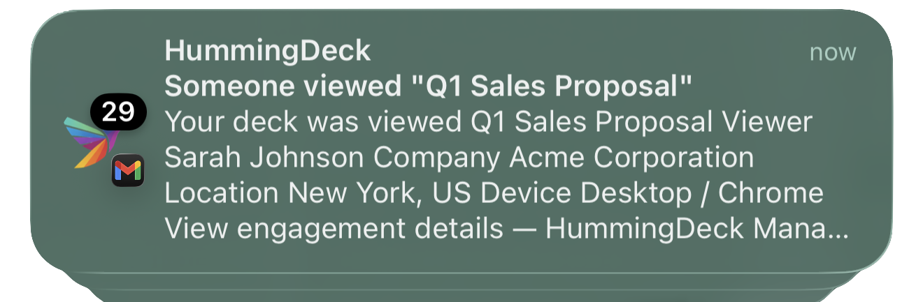 Email notification showing document view with time spent, pages viewed, and completion rate